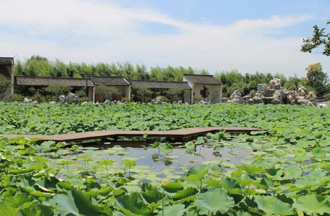 乌镇拓展基地之红杉邨拓展基地