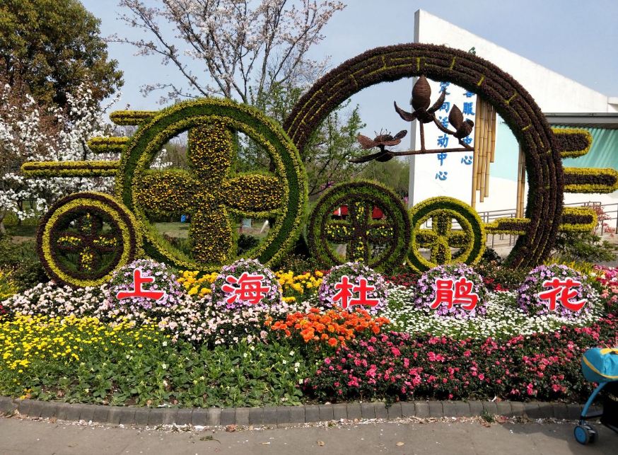 浦东滨江森林公园拓展基地